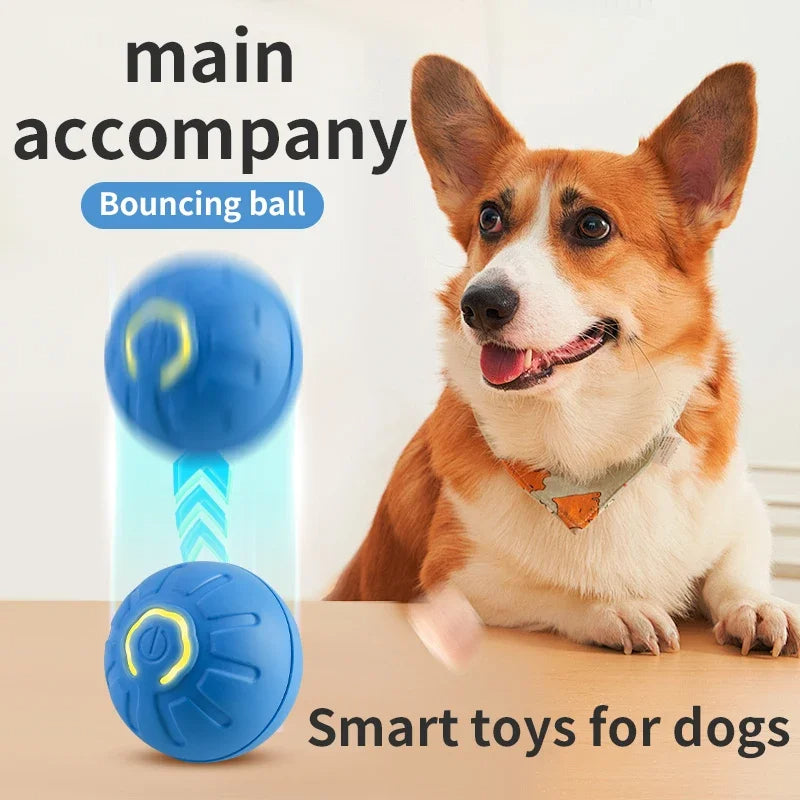 Finiks Gravity | Smart Bouncing Interactive Pet Ball | Product image 8